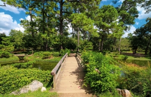 River oaks houston